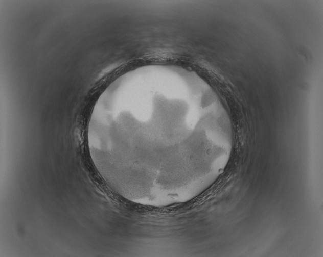 X0000111241206200907301259