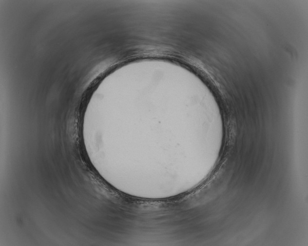 X0000111241211200907301259