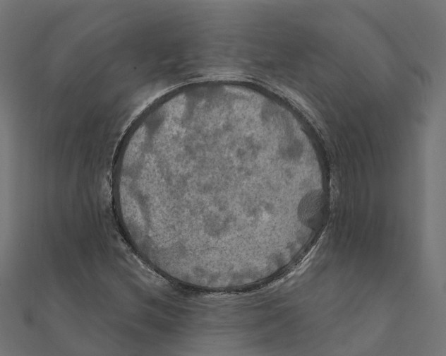 X0000111241212200907301259