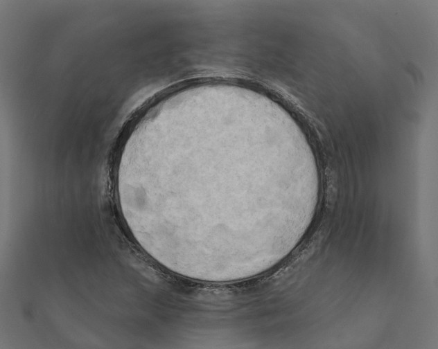 X0000111241215200907301259