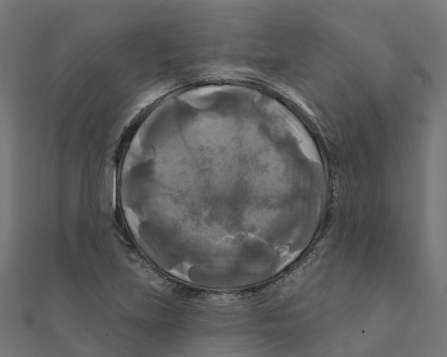 X0000111241219200907301259