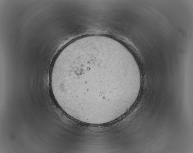 X0000111241220200907301259