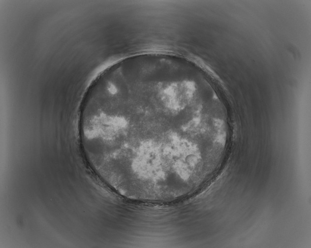 X0000111241222200907301259
