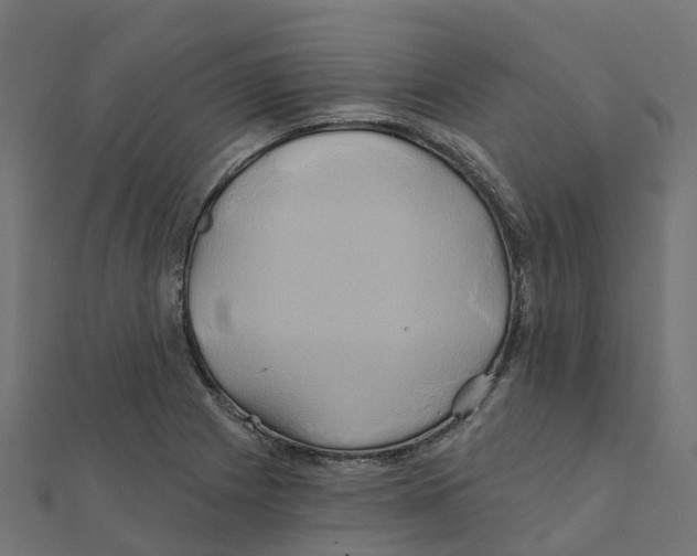 X0000111241225200907301300