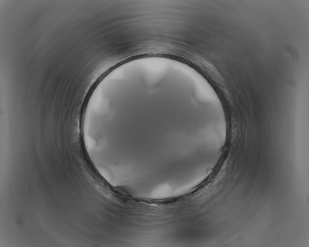 X0000111241226200907301300