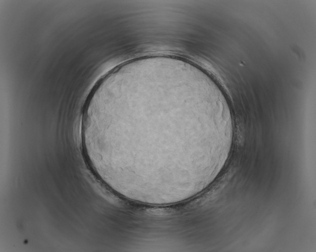 X0000111241227200907301300