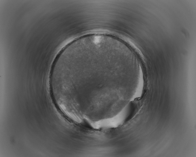 X0000111241229200907301300