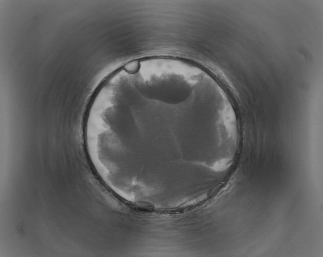 X0000111241230200907301300