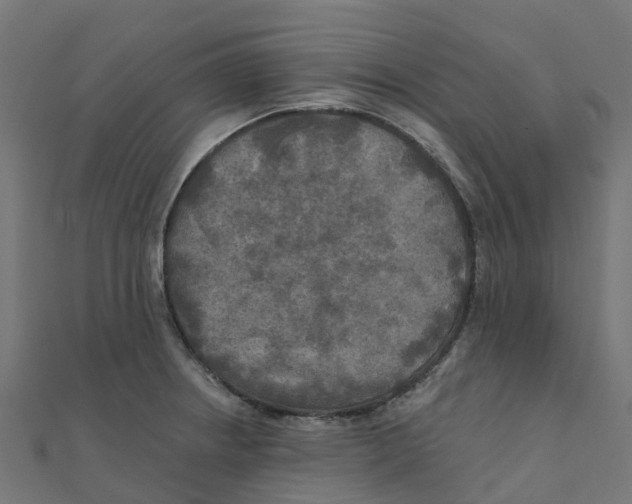 X0000111241234200907301300