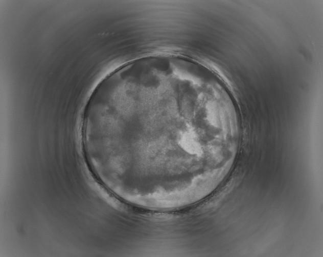 X0000111241235200907301300