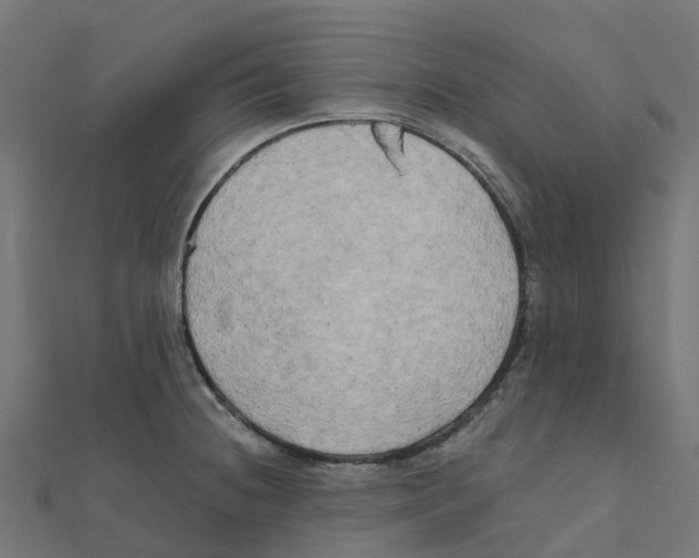 X0000111241236200907301300