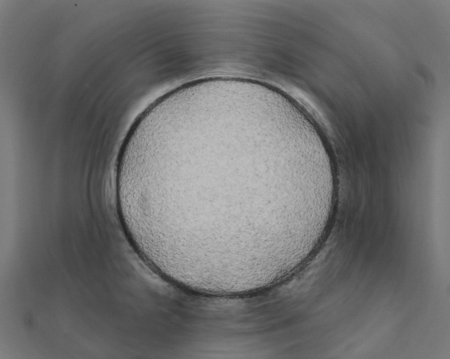 X0000111241238200907301300