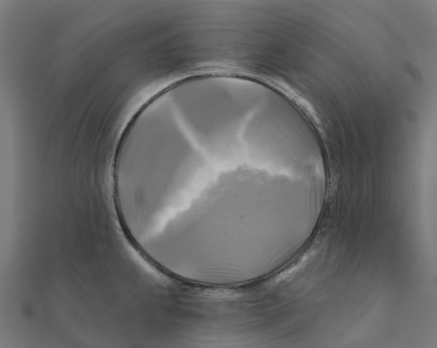 X0000111241239200907301300