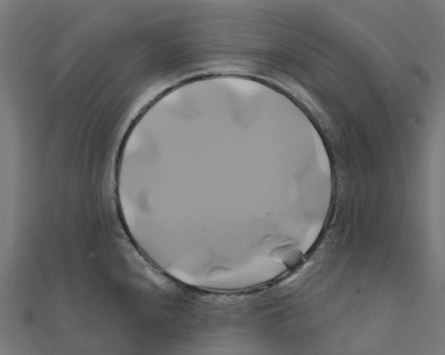 X0000111241240200907301300