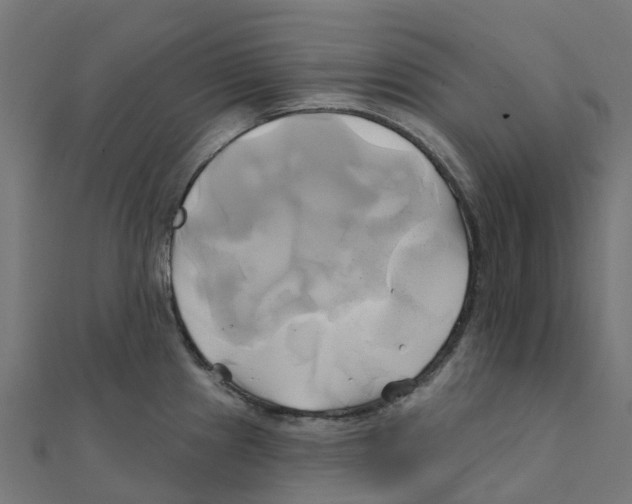 X0000111241241200907301300