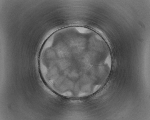X0000111241243200907301300