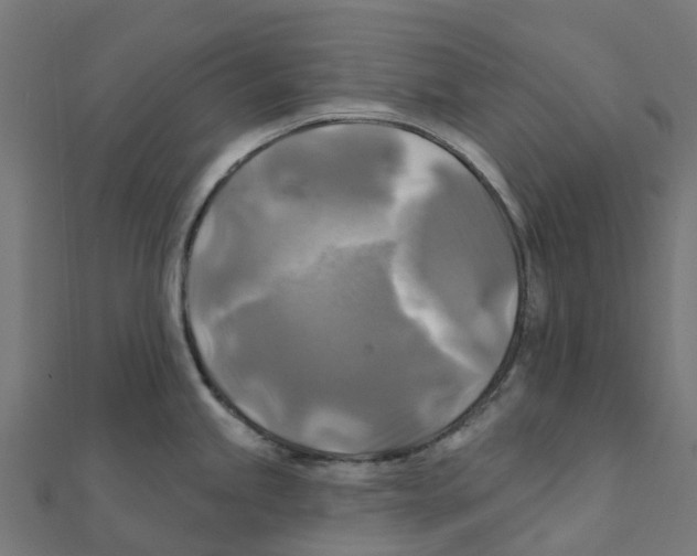 X0000111241245200907301300
