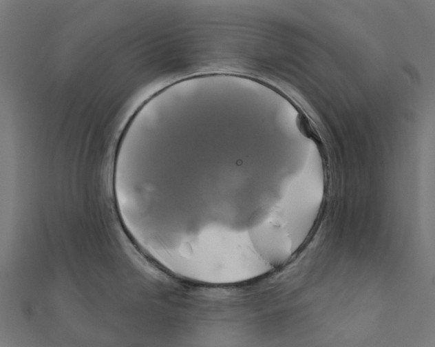 X0000111241246200907301300