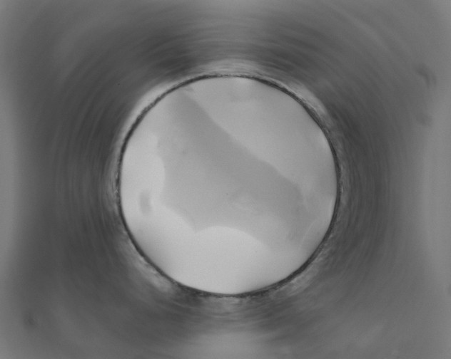 X0000111241248200907301300