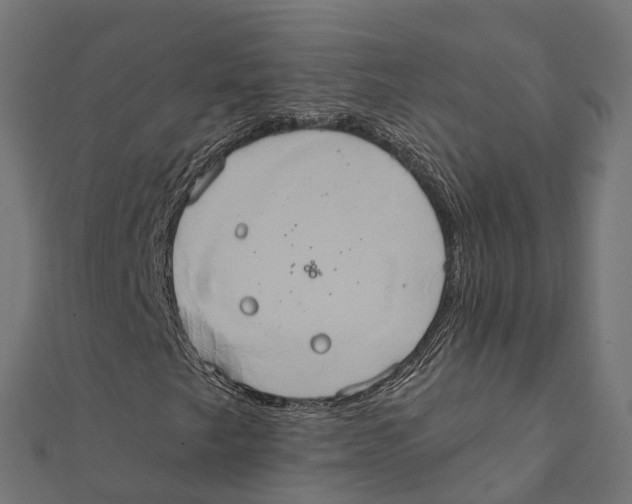 X0000111241249200907301259