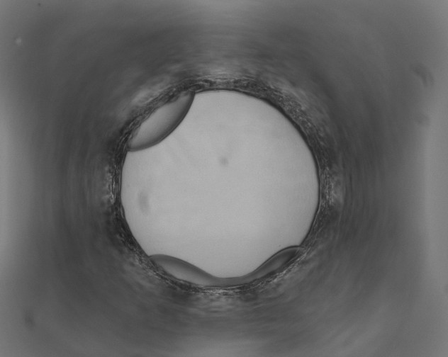 X0000111241253200907301259