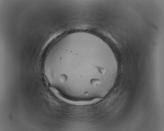 X0000111241256200907301259