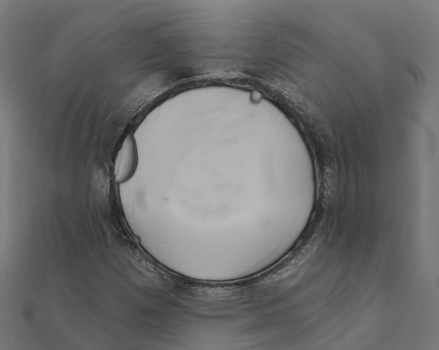 X0000111241257200907301259