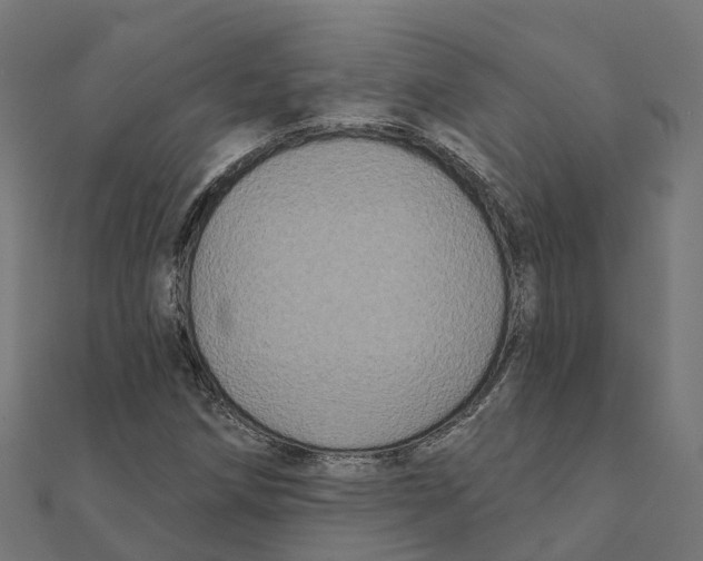 X0000111241258200907301259