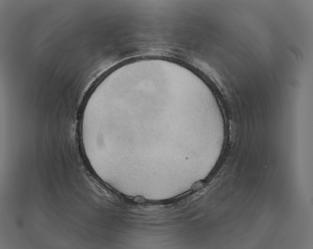 X0000111241260200907301259