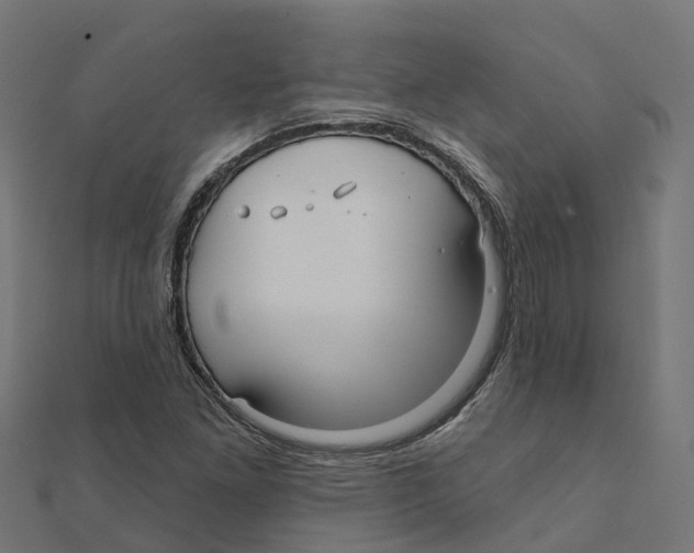 X0000111241261200907301259