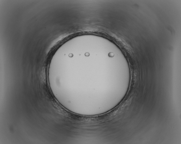 X0000111241262200907301259