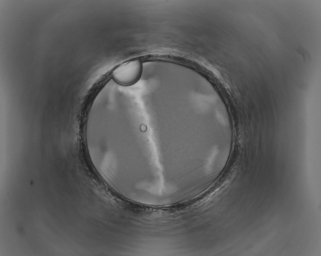 X0000111241263200907301259