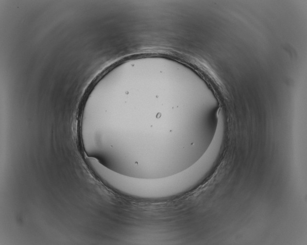 X0000111241268200907301259