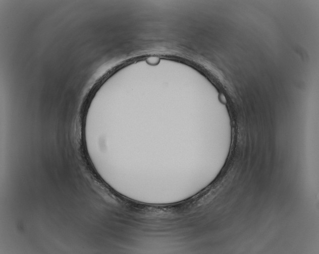 X0000111241270200907301259