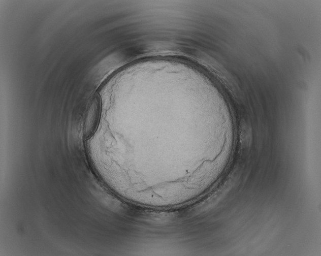 X0000111241273200907301259