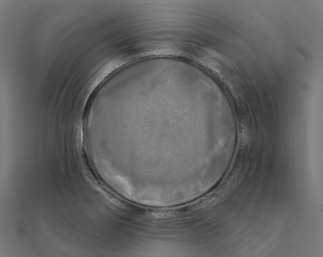 X0000111241274200907301259