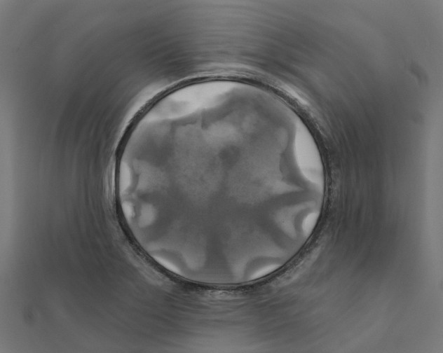 X0000111241275200907301259