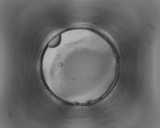 X0000111241277200907301259