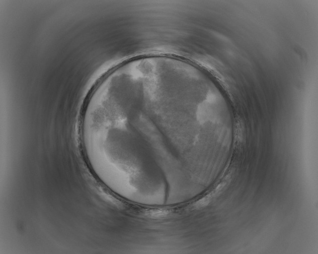 X0000111241278200907301259