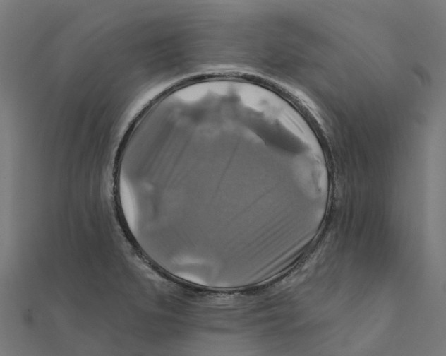 X0000111241279200907301259