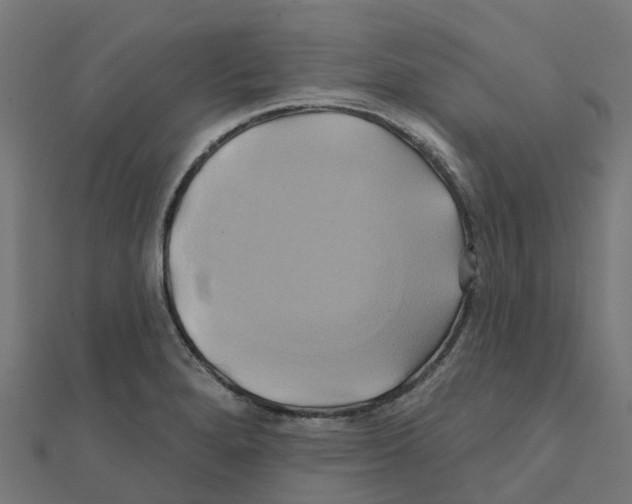 X0000111241280200907301259