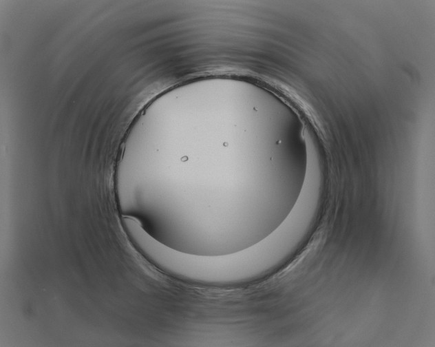 X0000111241281200907301259