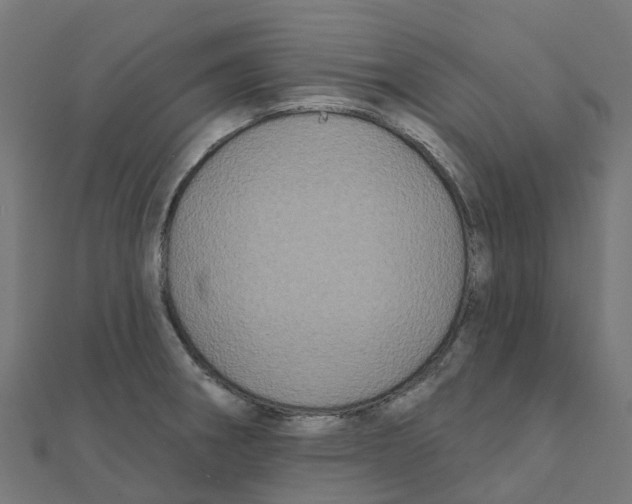 X0000111241282200907301259
