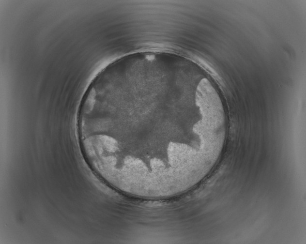 X0000111241283200907301259