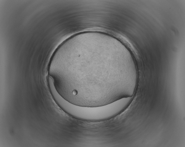X0000111241284200907301259