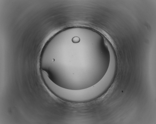 X0000111241285200907301259