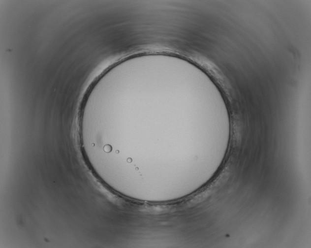 X0000111241286200907301259