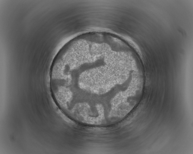 X0000111241287200907301259