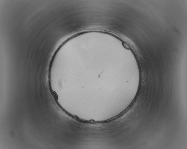 X0000111241288200907301259