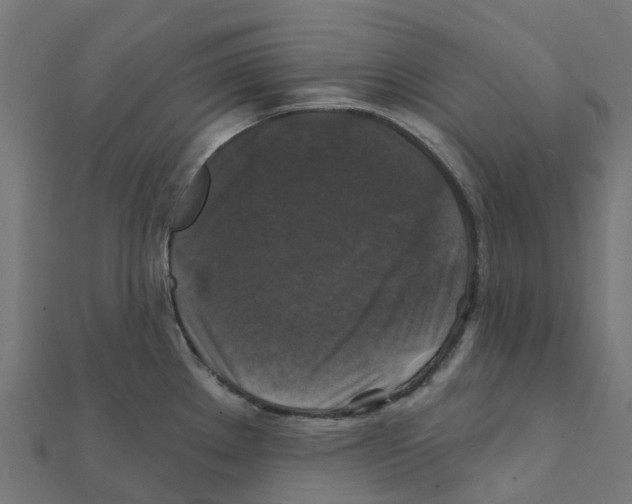 X0000111241289200907301259